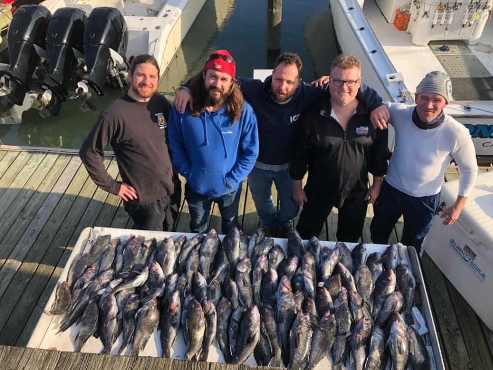 Gone Fishin’ Sport Fishing Charters Cape May Fishing Trips | 8 Hour Deep Water Seabass Fall fishing Wrecks