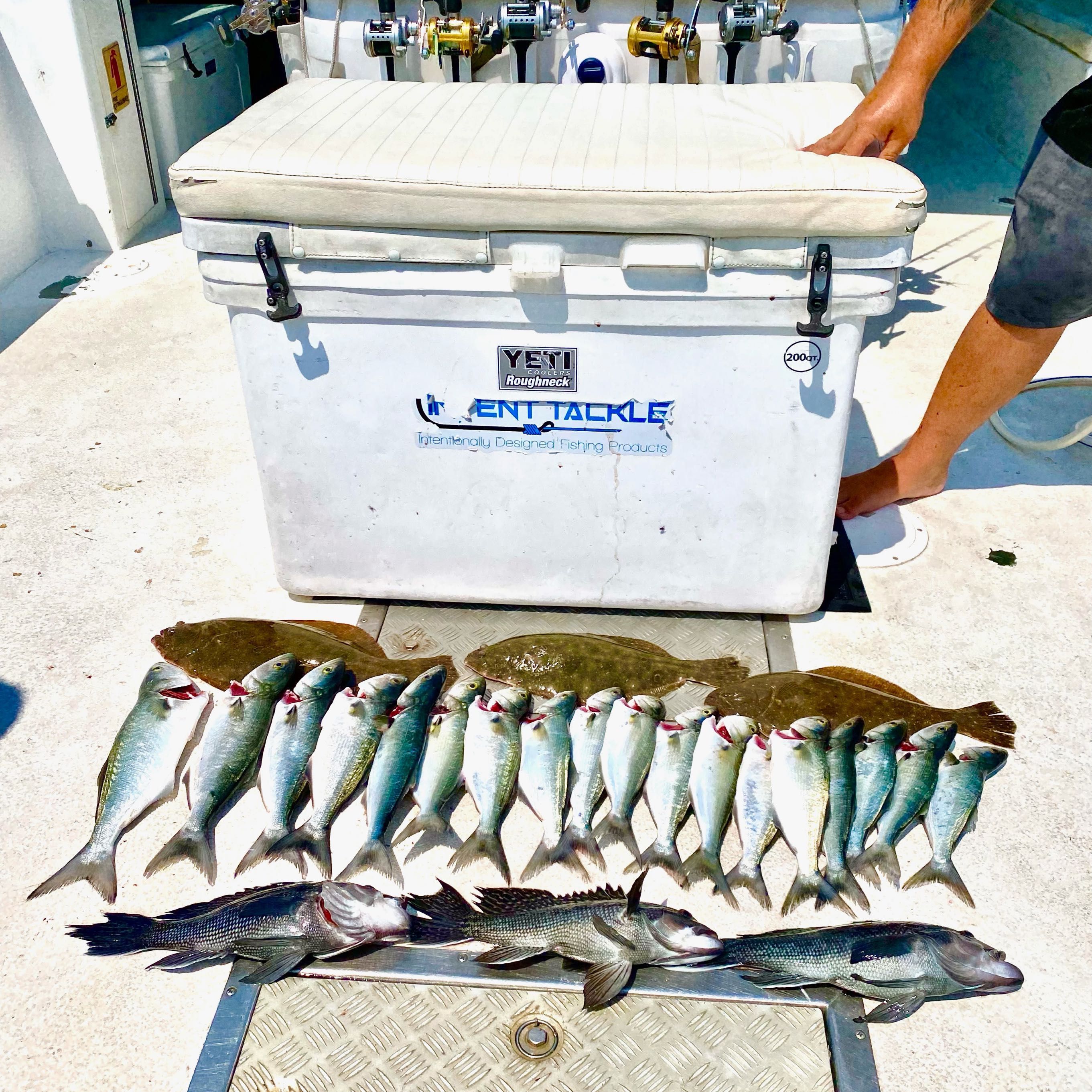 Fish-Species