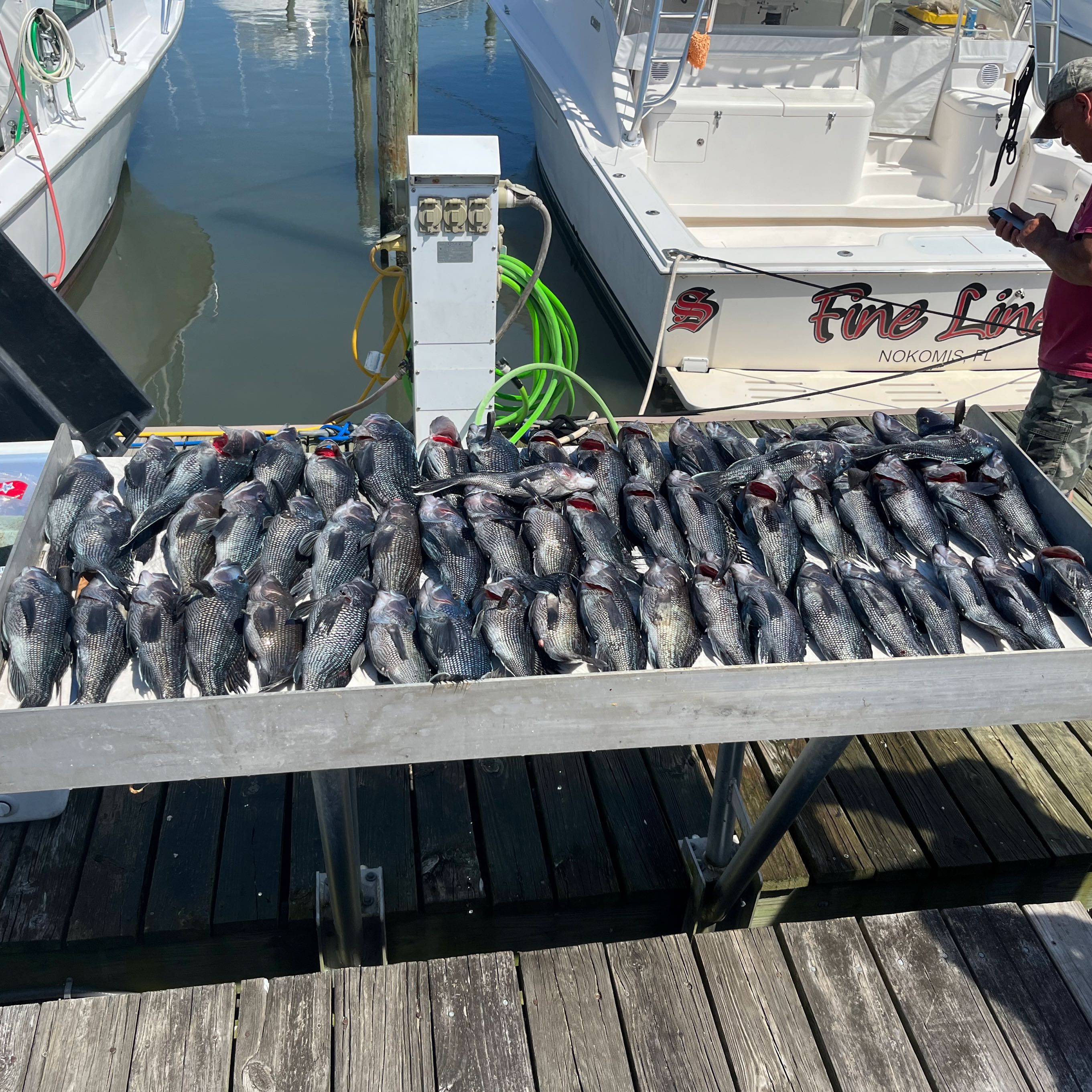 Gone Fishin’ Sport Fishing Charters Cape May New Jersey Fishing Charters | 8 Hour  Deep Water Seabass Spring fishing Wrecks