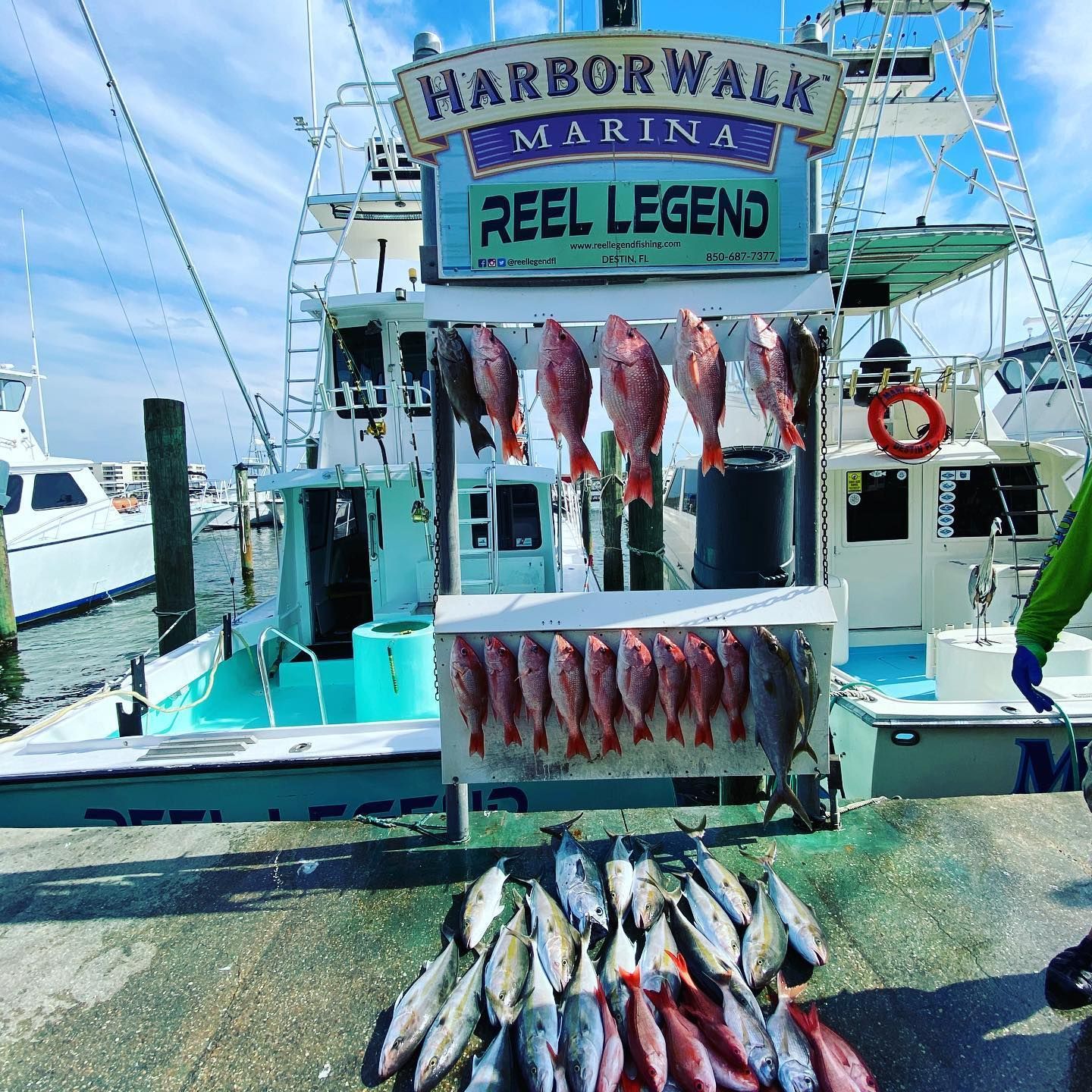 Reel Legend Fishing Charters 18-Hour Boat Fishing Adventure fishing Offshore