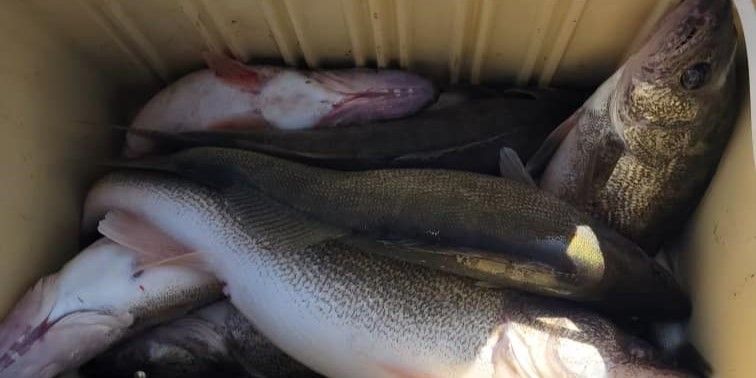 Expert-Guided Lake Erie Fishing in Port Clinton