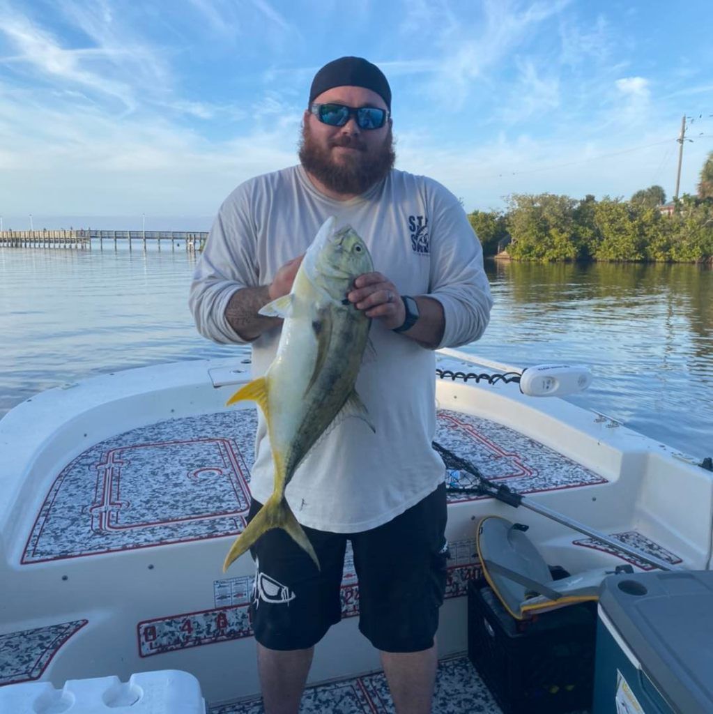 Crevalle Jack from The Gulf OF Mexico