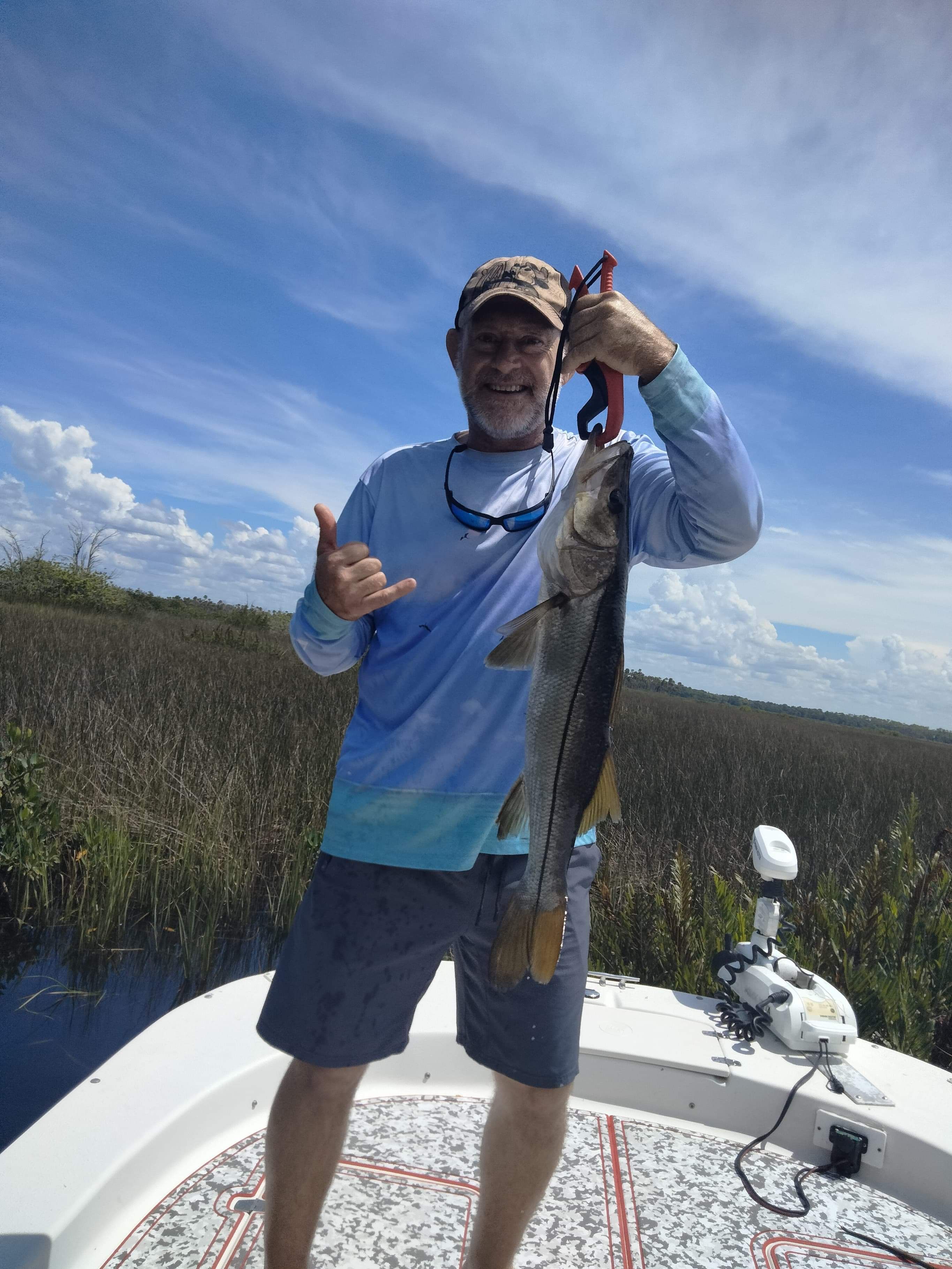 Tampa Fishing Charters Snook Fishing