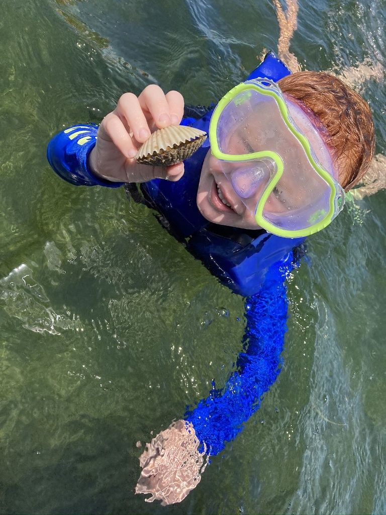 We Provide Snorkeling Equipment in Tampa, FL