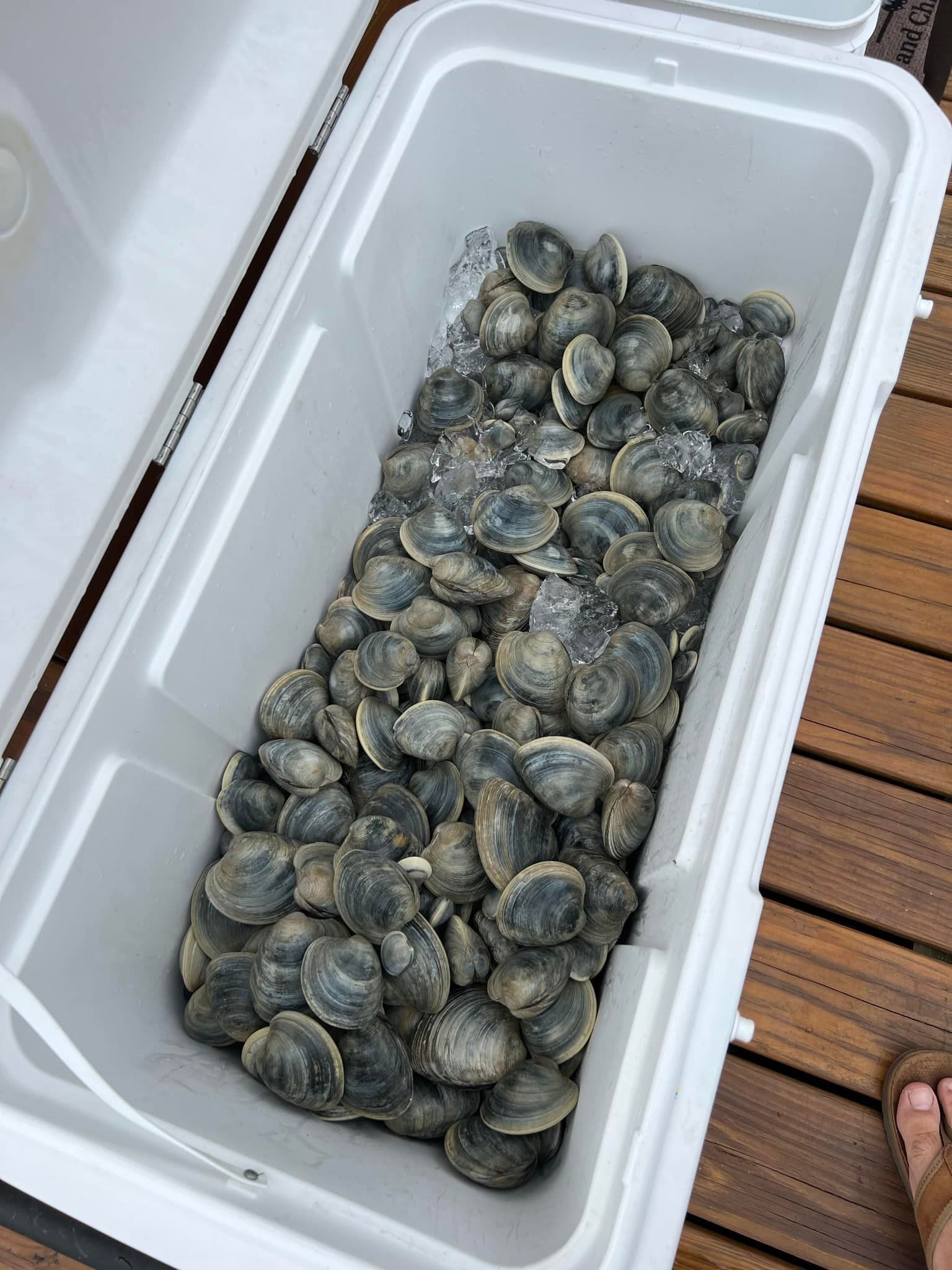Best Family Clamming Trip | Barnegat Light NJ