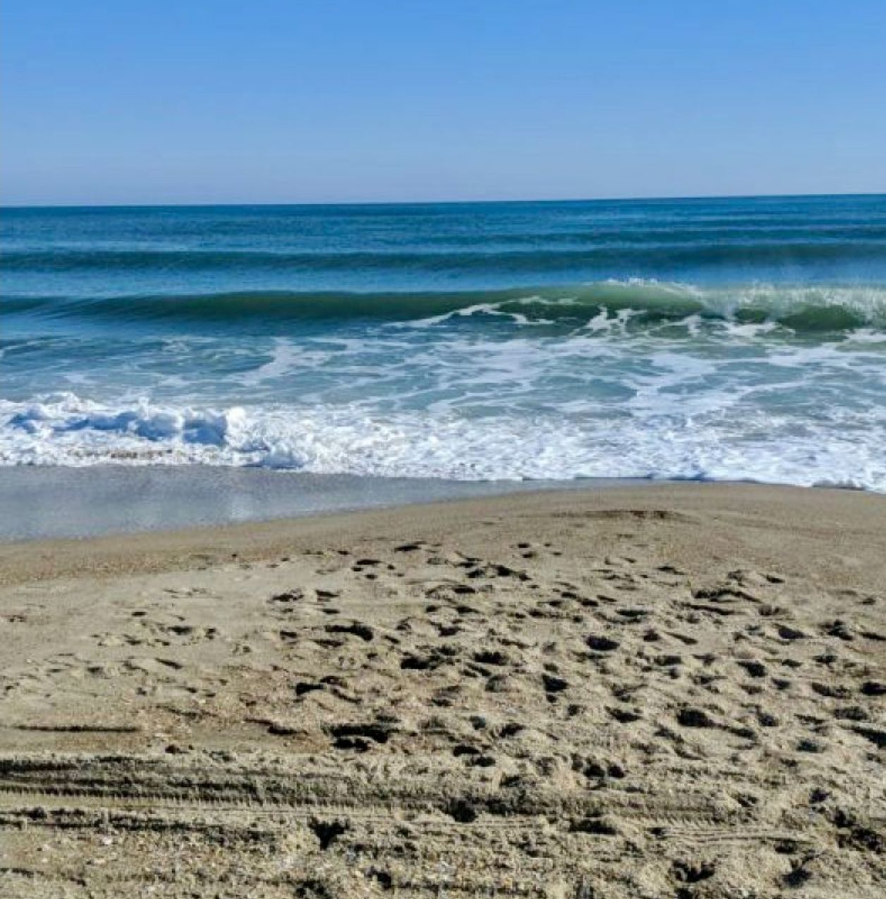 Top-Rated Morning Surf Fishing at North Topsail