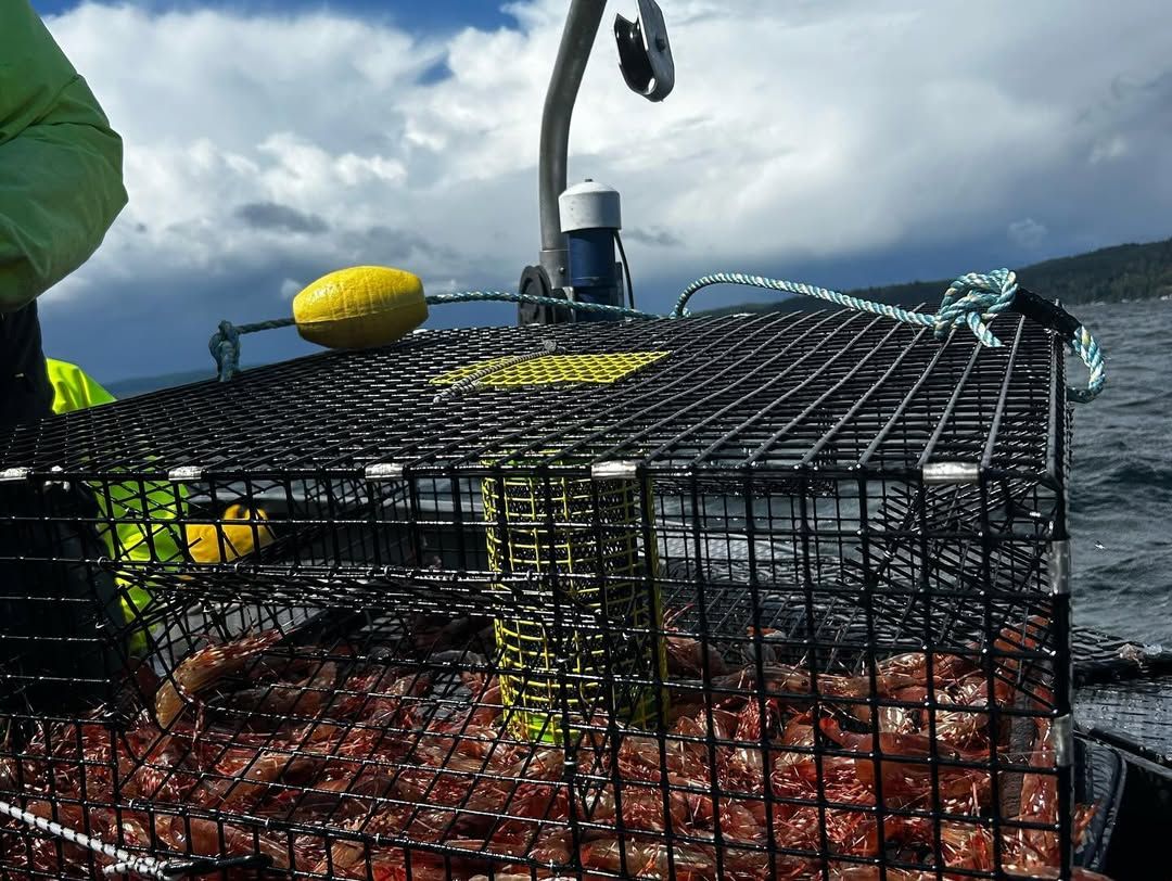 Best Beginner Crabbing Trip in Astoria, Oregon