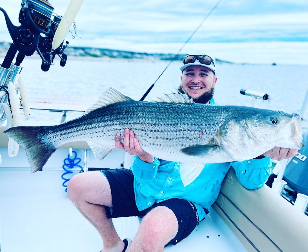 49 lb Striped Bass (client is 6'7!)