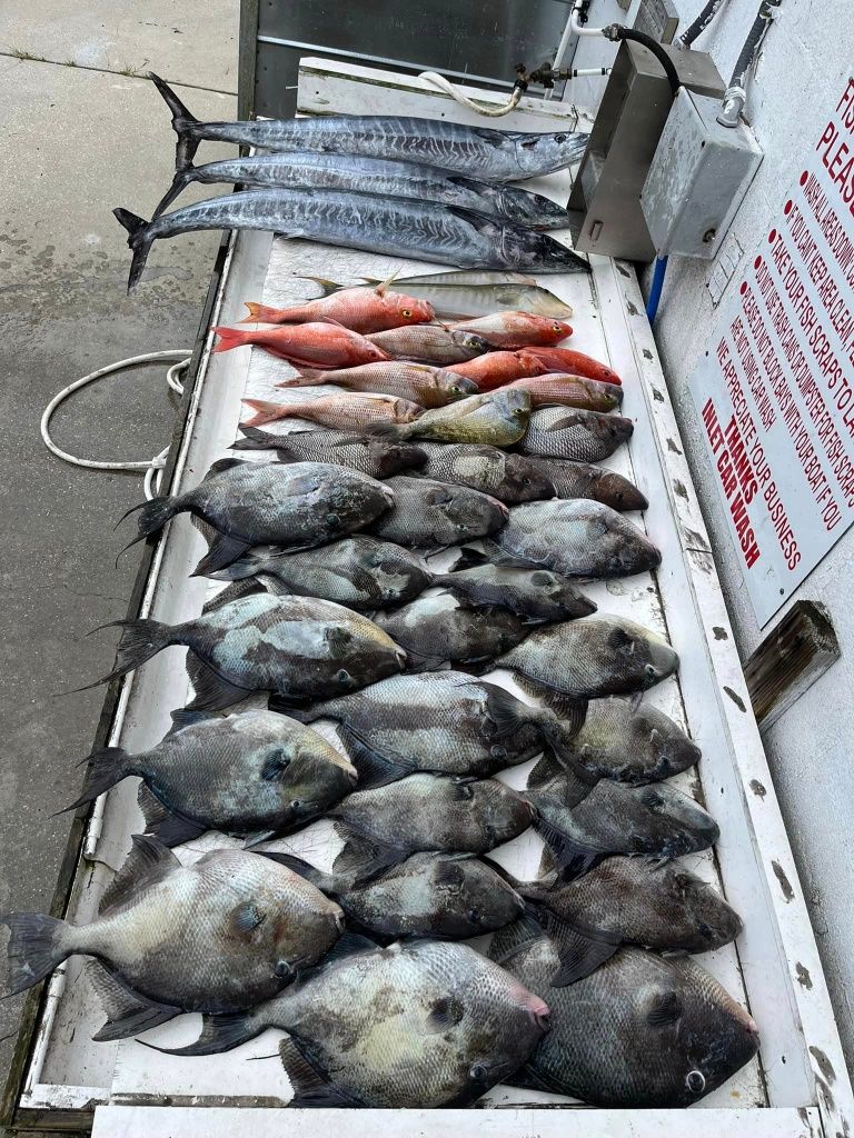 Murrells Inlet Inshore Fishing fishing report coverpicture