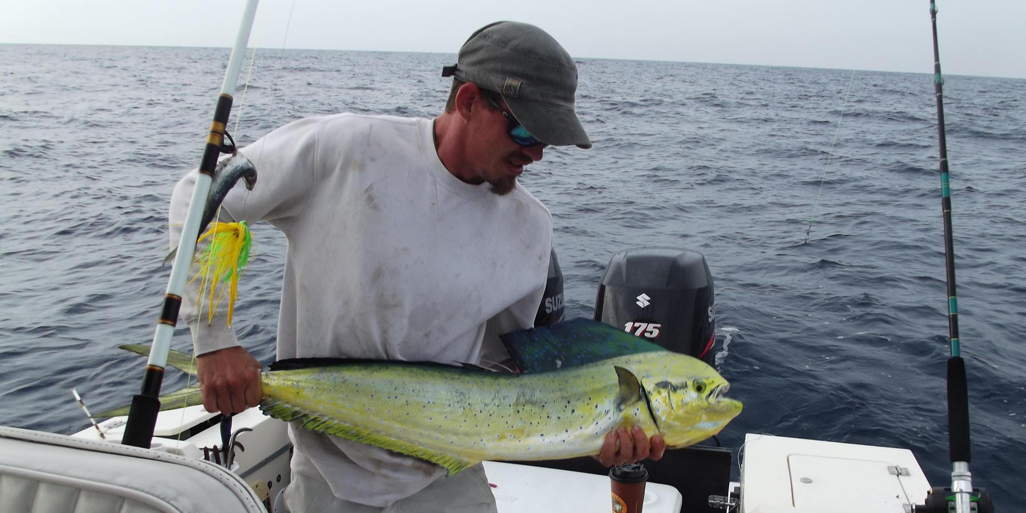 Pipe Dream Charters 12 Hour Gulf Stream Fishing In Fernandina Beach  fishing Offshore