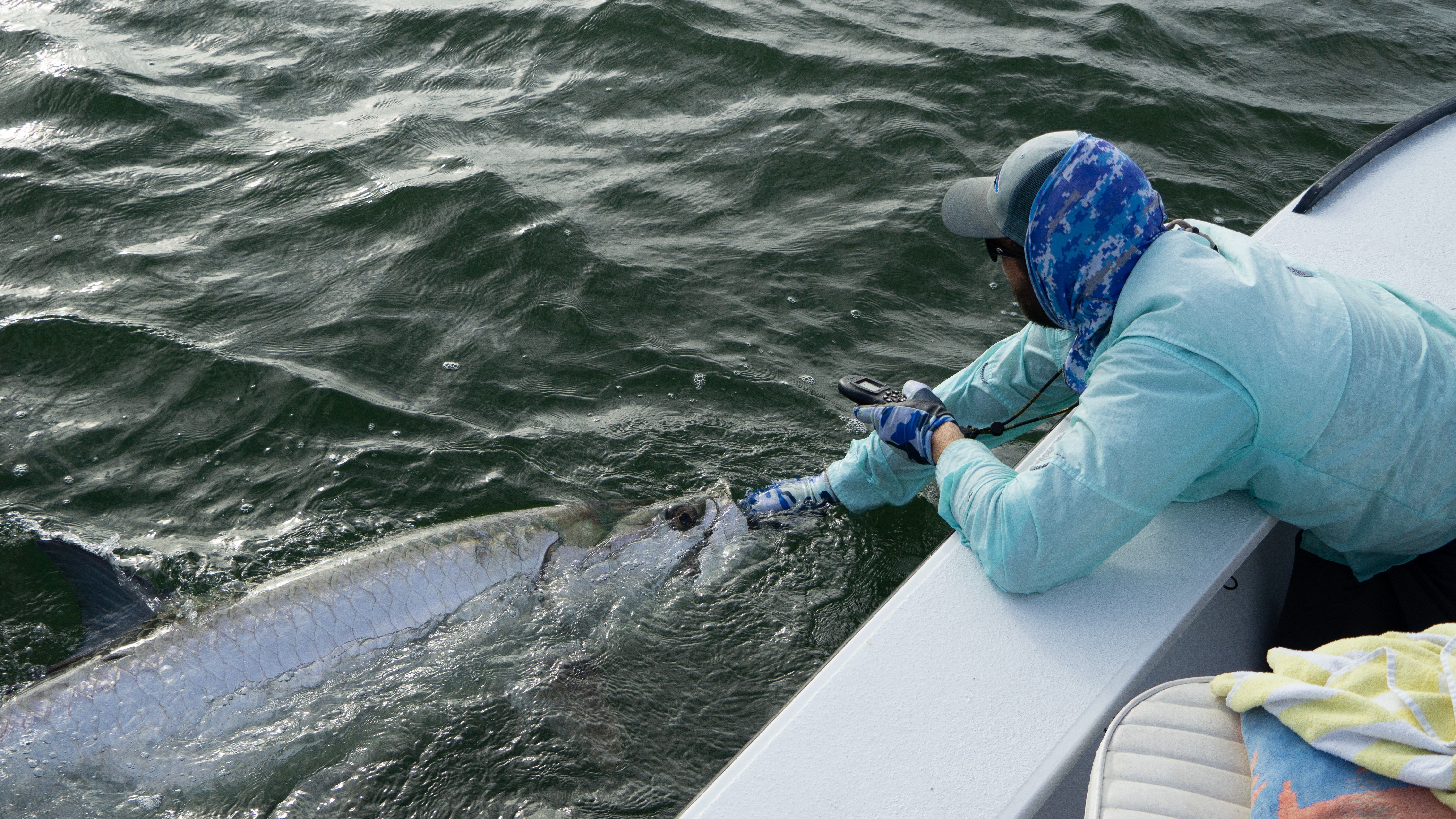 GulfCoast Guide Fishing & Adventure Tarpon Fishing Panama City Beach | 4 Hour AM And PM Trips fishing Inshore