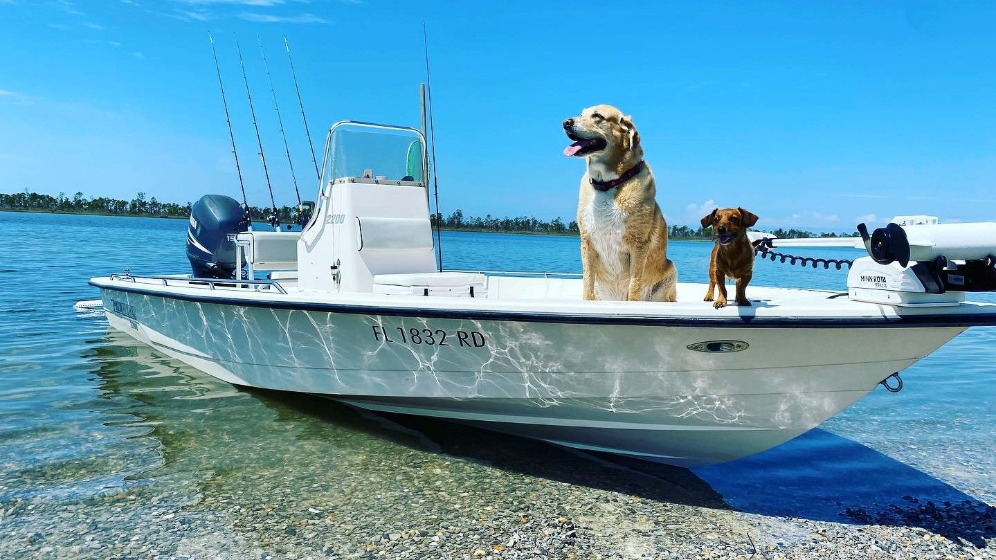 Motorboat (engine-powered)