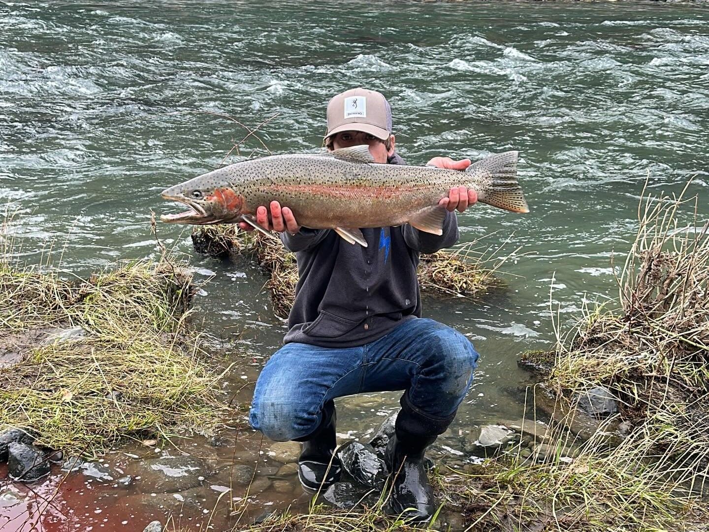 Full-Day Winter Steelhead Pursuit