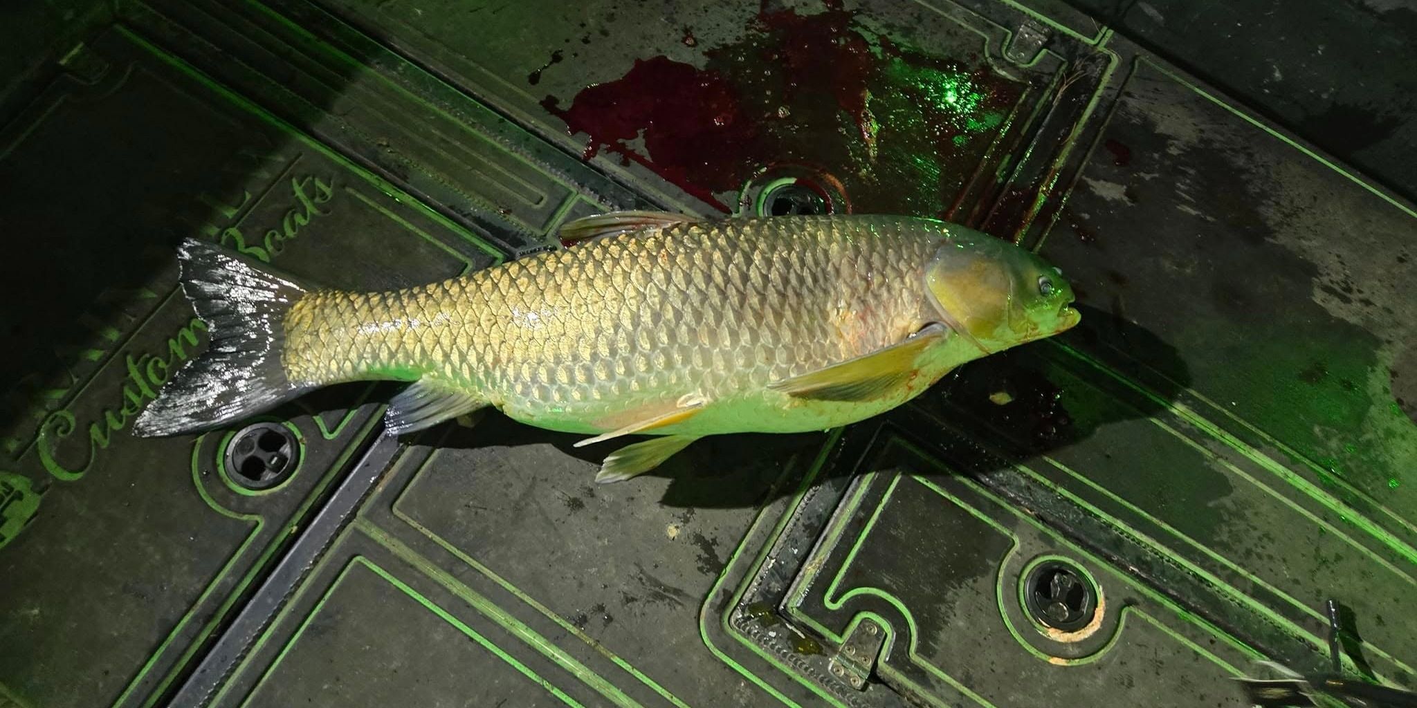 Top-Rated Lake Bowfishing in Hillsboro, Ohio