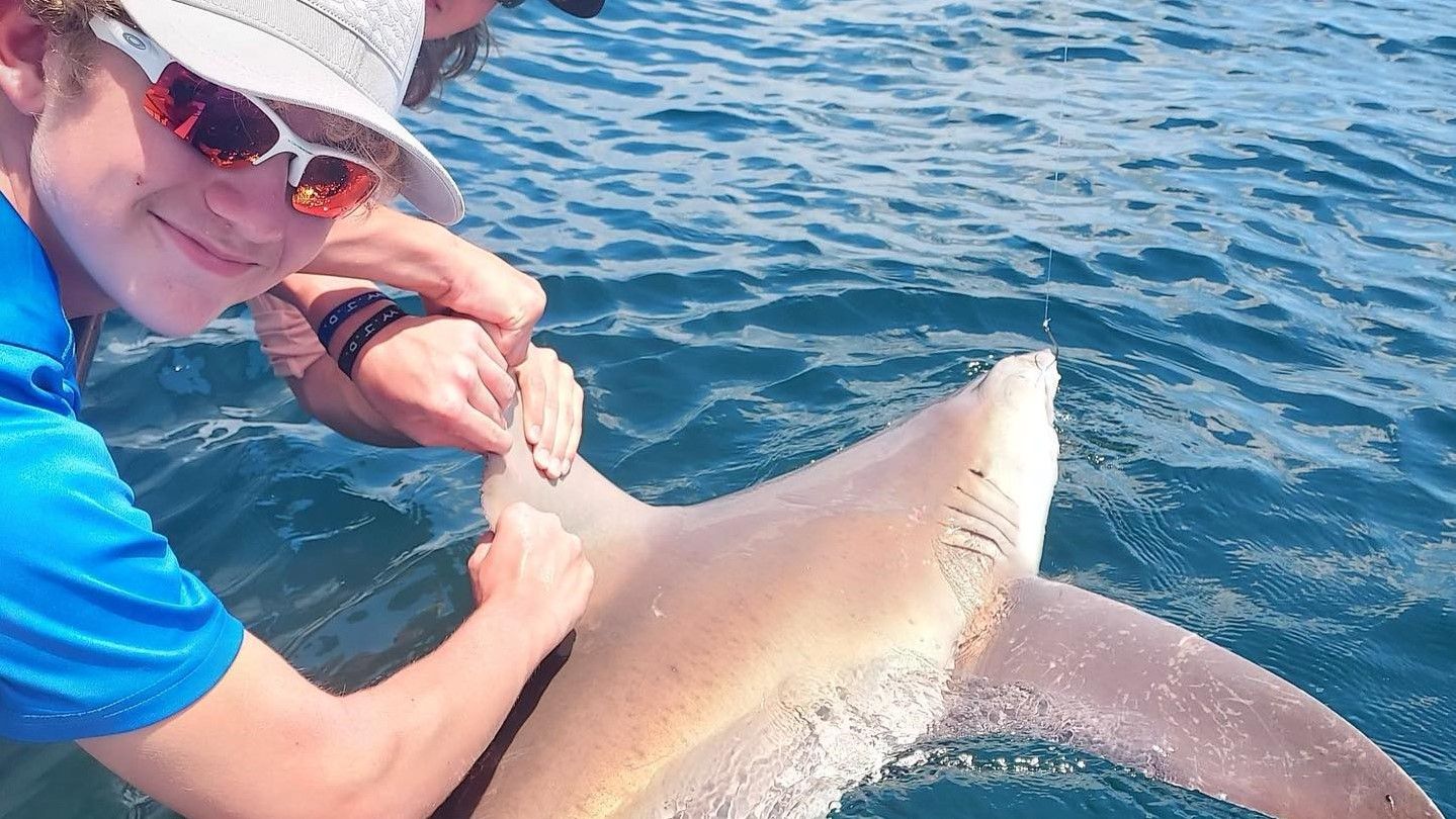 Double C Charters Shark Encounter: 4-Hour Thrill Ride in Panama City Beach, FL fishing Inshore