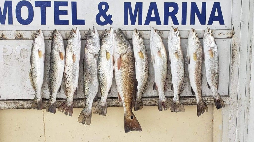 Old Salt Charters Fishing In South Padre fishing Inshore