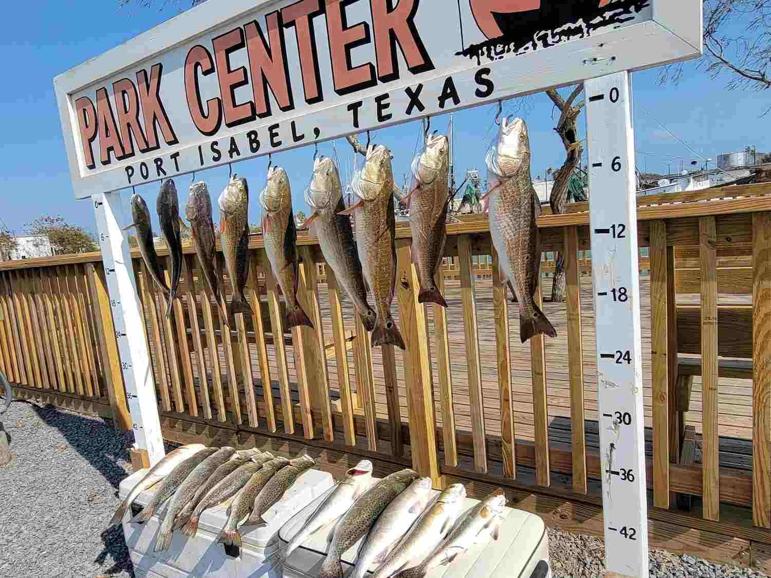 Old Salt Charters South Padre Island Fishing Guide fishing Inshore