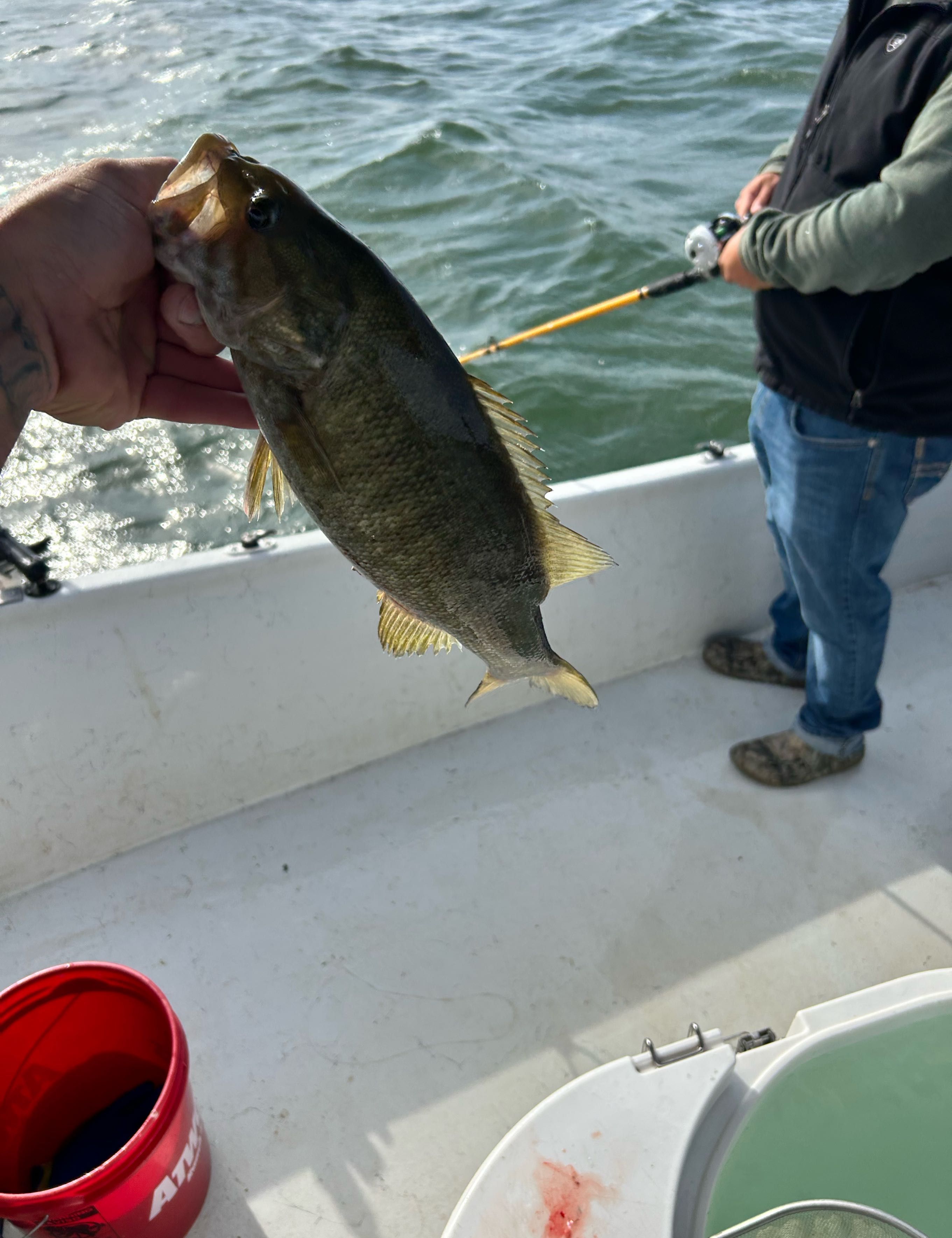 Lake Texoma Fishing Reports