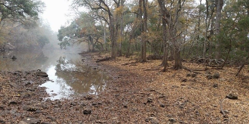 Guided Axis Doe Hunt at Stonewall Ranch TX