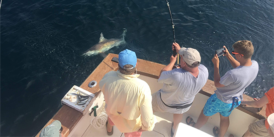 Showtime Fishing Charter Fishing in Panama City Beach | Private 4-Hour Morning Shark Trip fishing Inshore