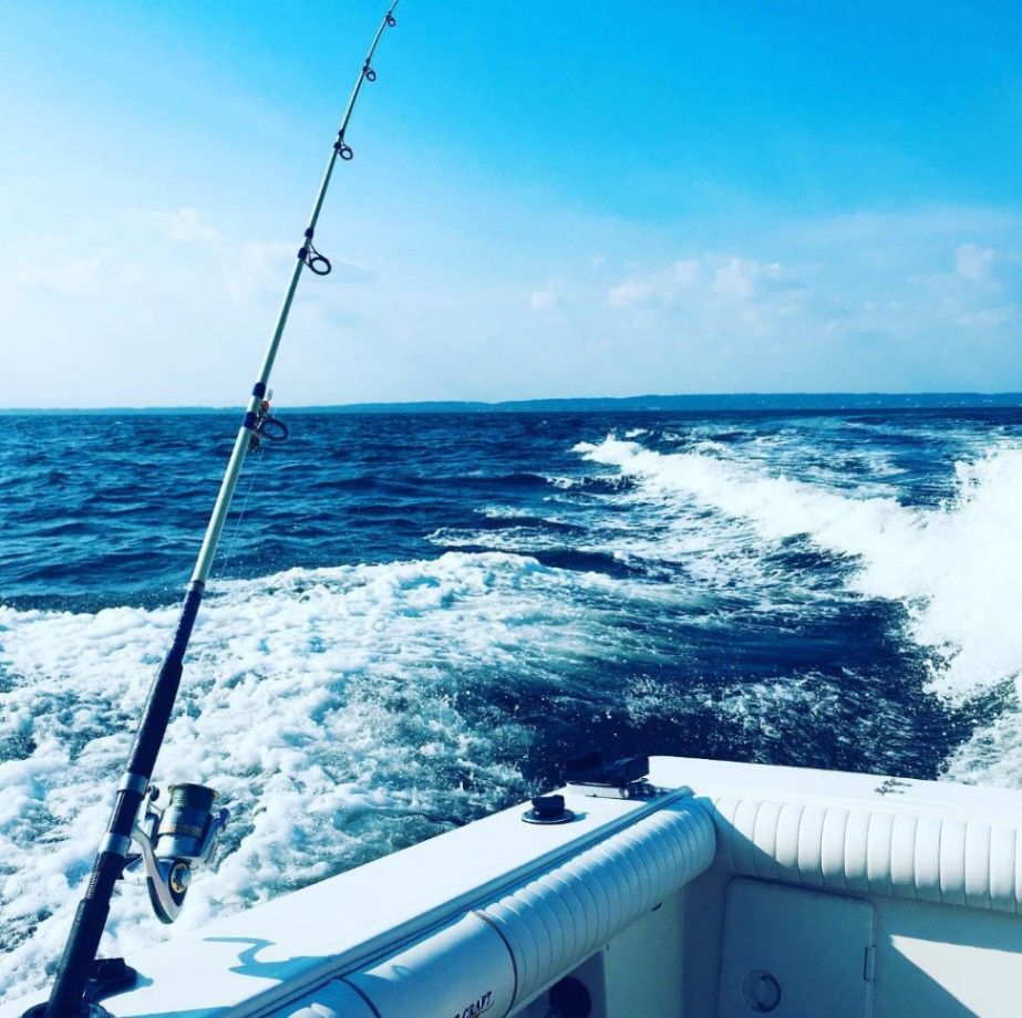 Hook & Fin Fishing Charters Blackfish Trip fishing Inshore