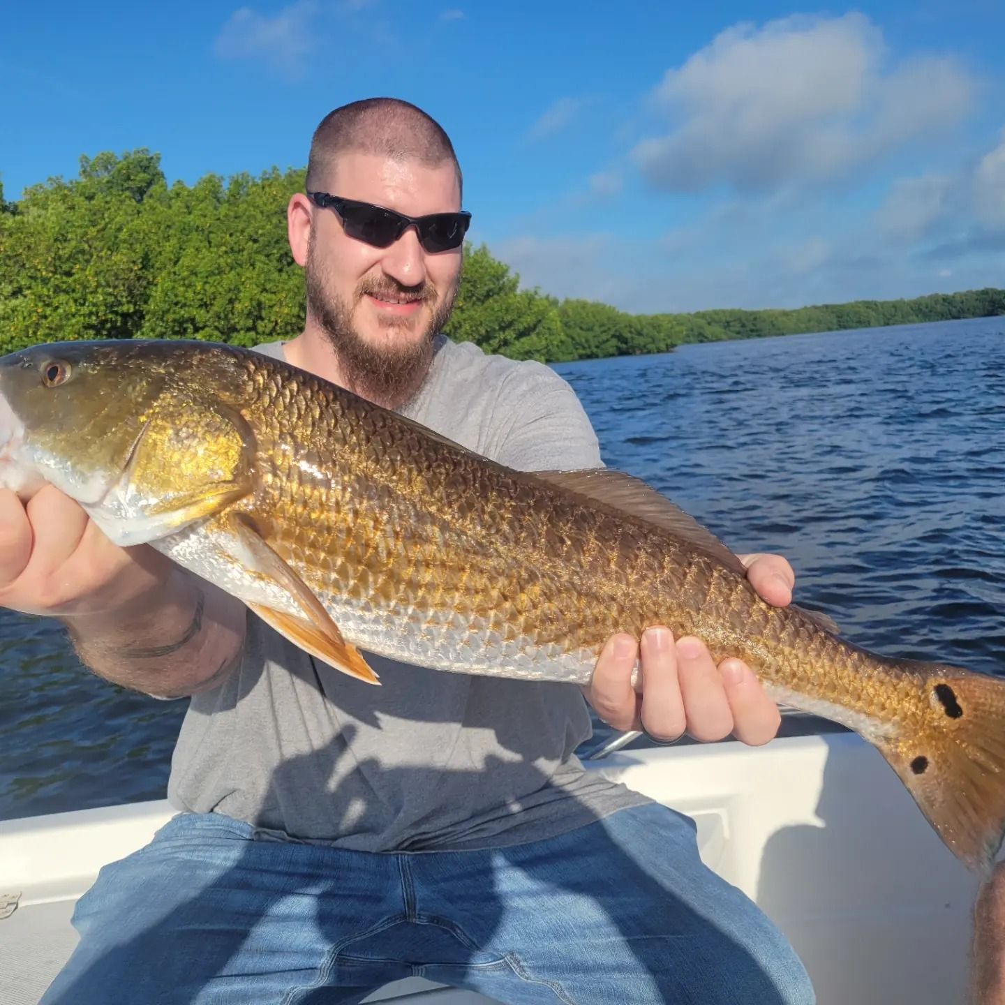 Expert-Guided Tampa Bay Inshore Fishing Adventure