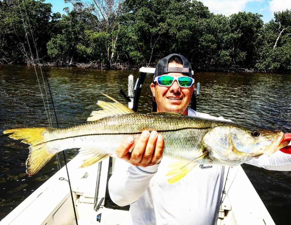 Snook From Everglades, FL