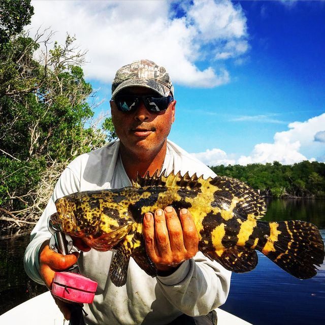 Reeled a Grouper from The Everglades