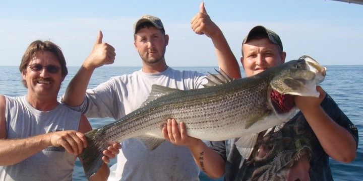 Central New Hampshire Guides New Hampshire Fishing Charters  fishing Inshore