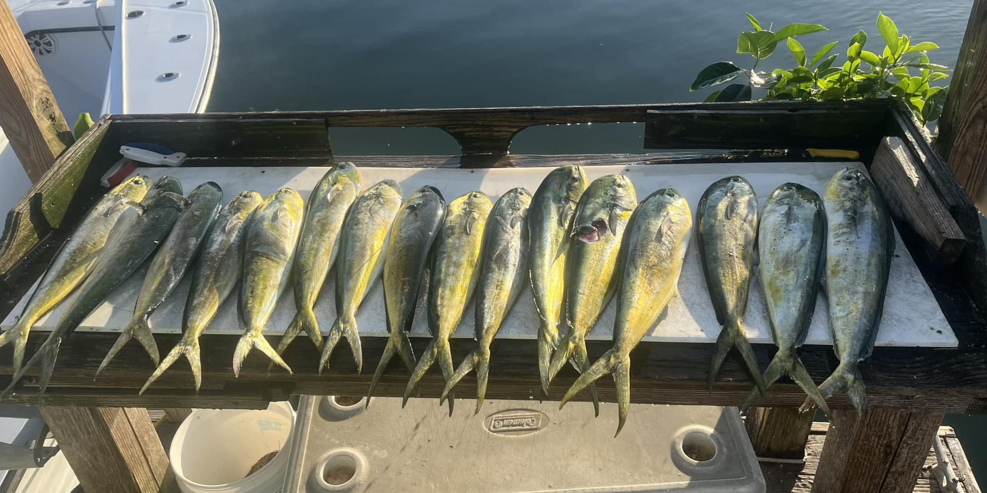 Snap Em Up Fishing Fishing In Islamorada | 6 To 8 Hour Charter Trip  fishing Offshore