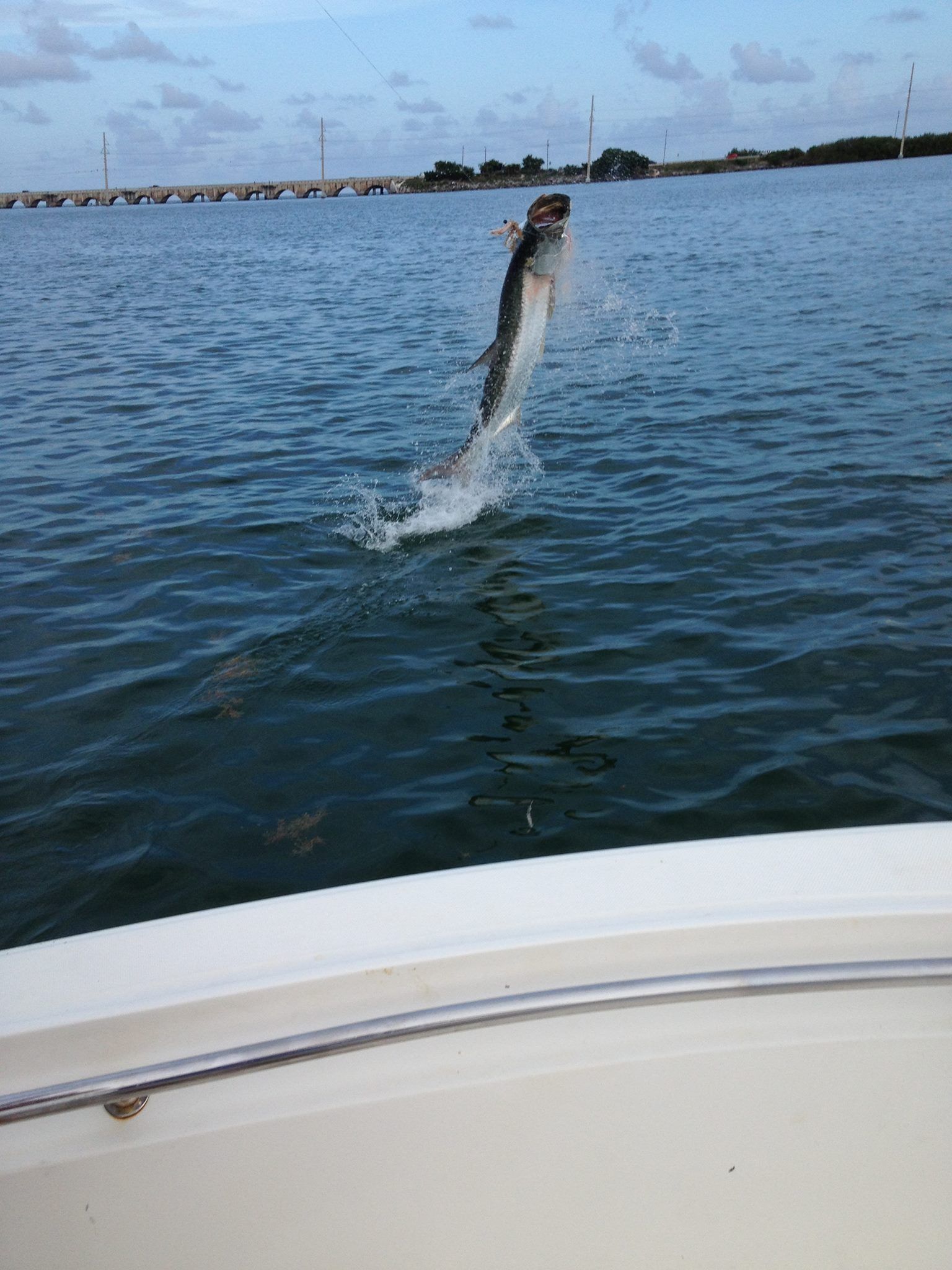 Epic Tarpon Fishing Trip in Islamorada