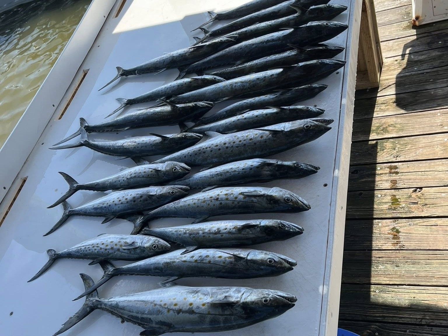 2 Hour Inshore Fishing Gulf Shores Southern