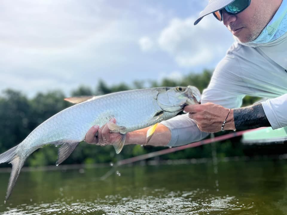 Top-Rated Fort Myers Light Tackle Fishing Trip