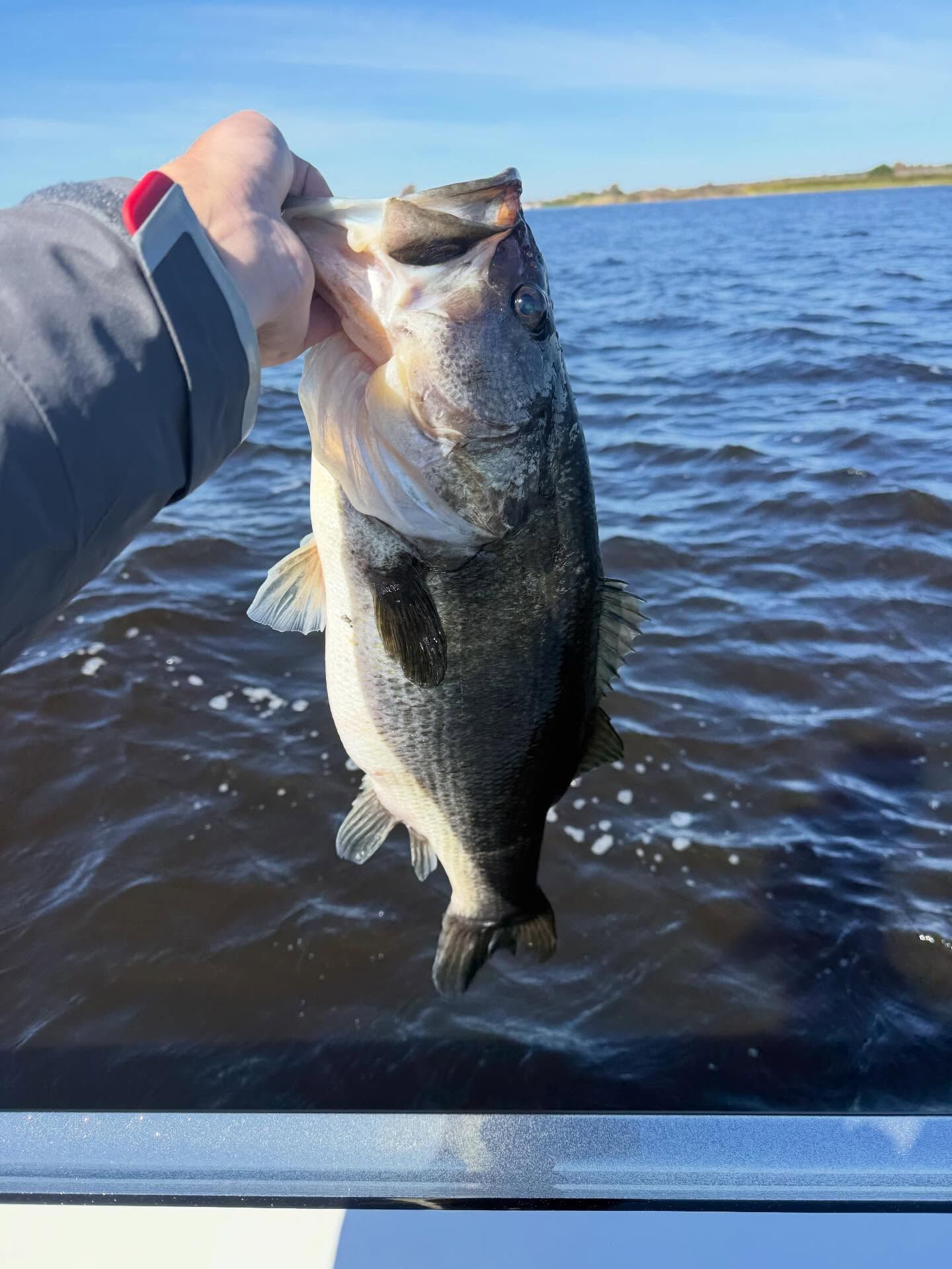 Half Day Bass Fishing Sam Rayburn Lake Caden