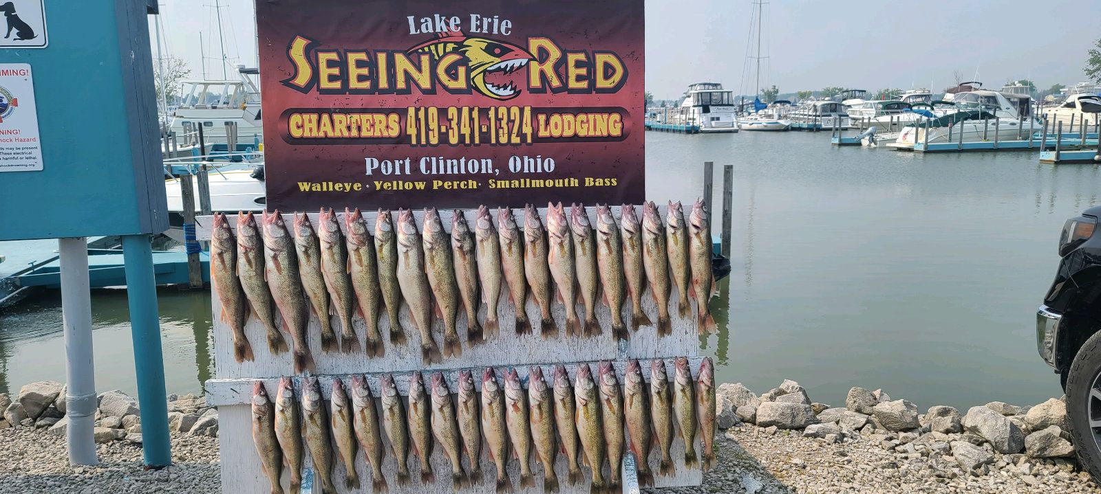 Seeing Red Charters Lake Erie Fishing Charters | 4 Hour Night Charter Trip fishing Lake