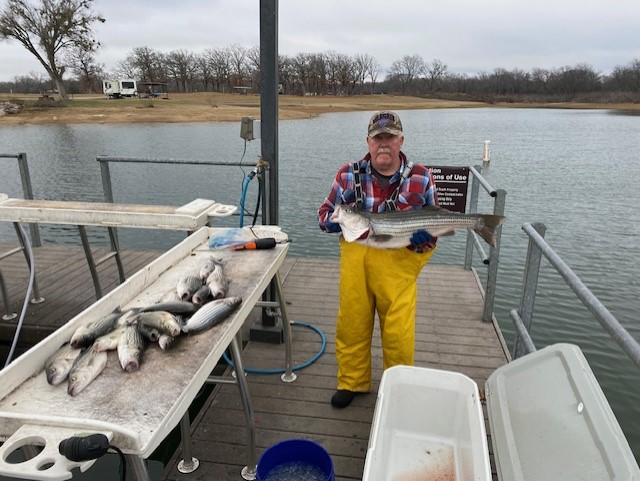 Lake Texoma Fishing Guides  fishing report coverpicture
