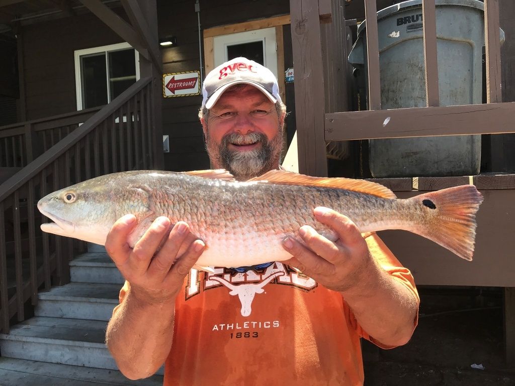 Redfish, Black Drum, Trout, and More in Port Aransas fishing report coverpicture