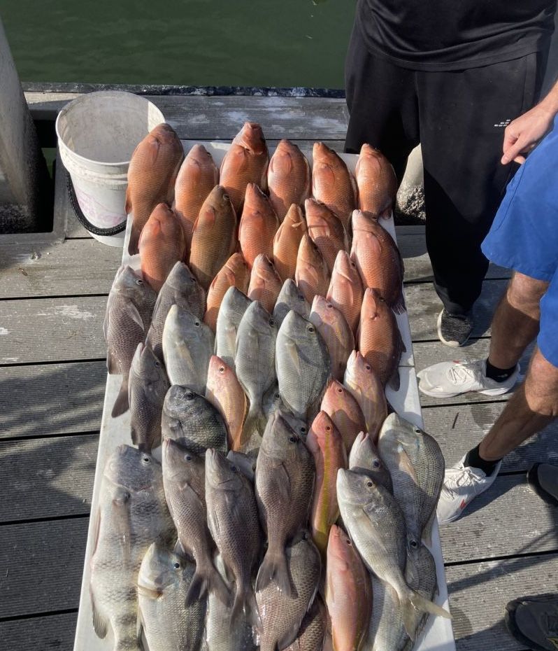 FishHuge Charters 10 Hour Consultation Trip | Fishing Trips St Petersburg FL fishing Inshore