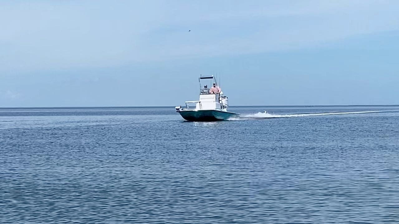 Corpus Christi Eco Tours Code 3 Guide Services