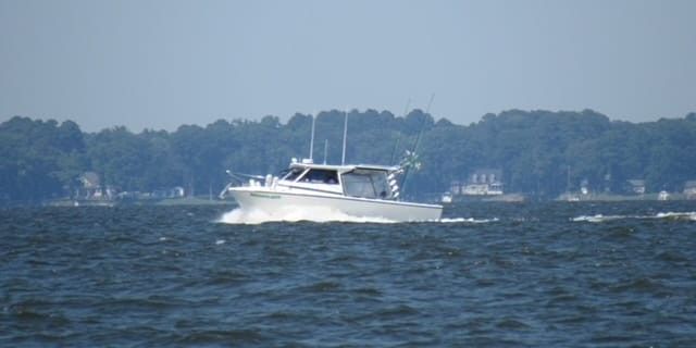 Sunrise Scenic Tours Chesapeake Bay Reel M N