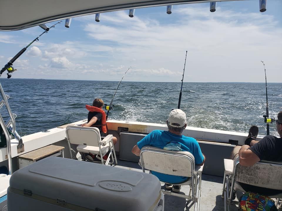 Eco Nature Tours Chesapeake Bay Reel M N