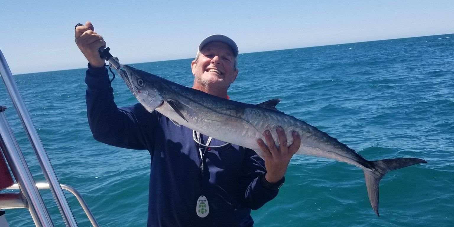 Mow Fish Charter Clearwater Florida Fishing Charters fishing Inshore