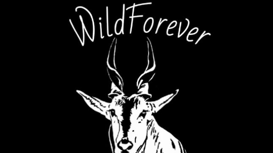 WildForever - Texas Outfitters
