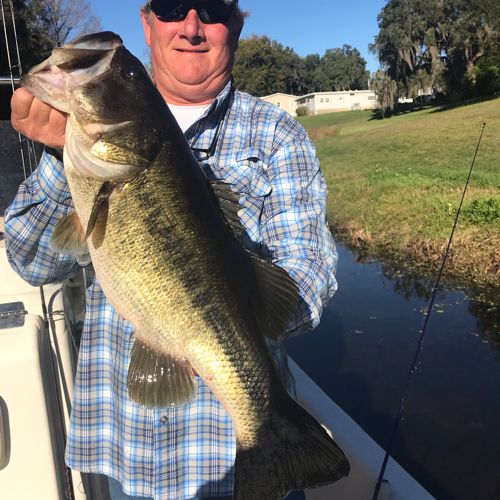 Aquatic Tour and Guide of Florida