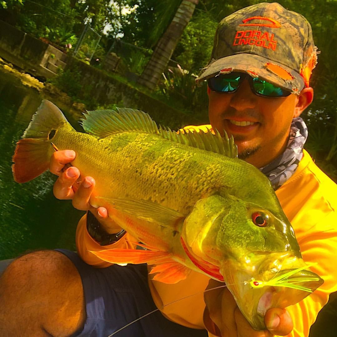 Miami's Expert-Guided Peacock Bass Adventure