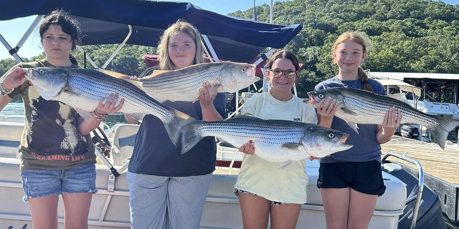 Top-Rated Beaver Lake Striped Bass Trip for Beginners