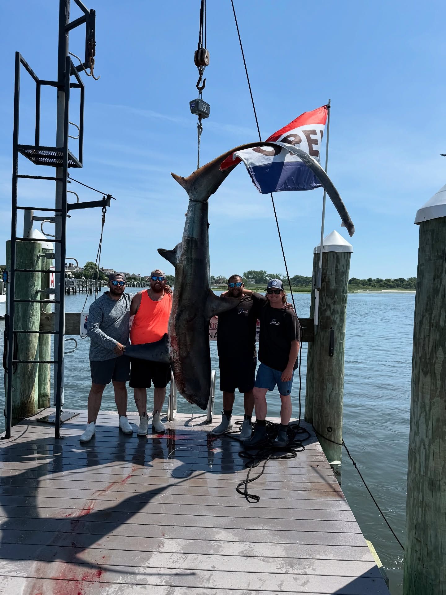 490lb Thresher Landed in Just 30 Minutes! fishing report coverpicture