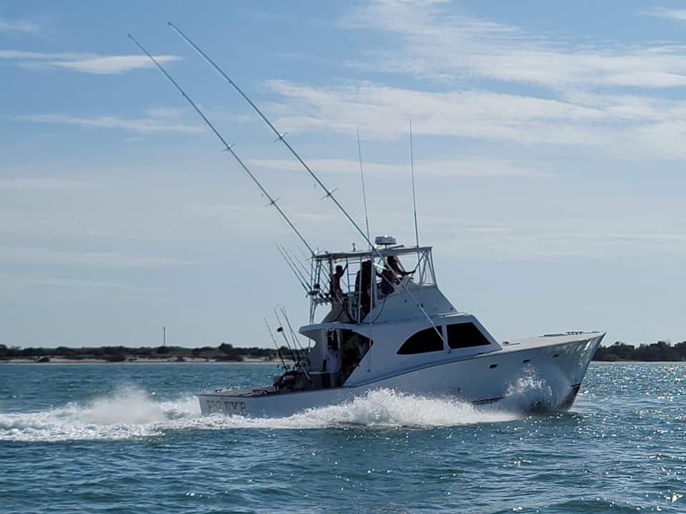 Exclusive Morehead City Private Eco Tour