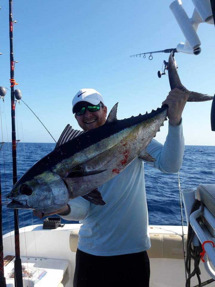 Blackfin Tuna from  St. Petersburg, FL