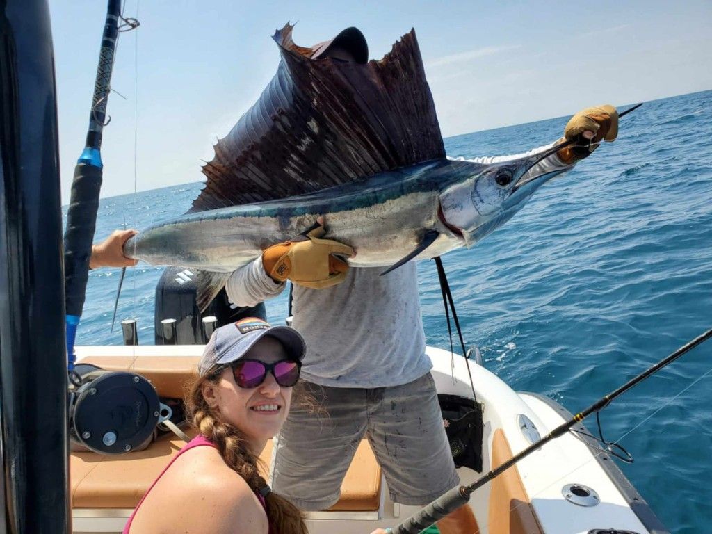 Sailfish Caught in St. Petersburg, FL